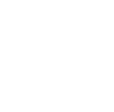 VillePet